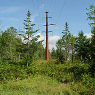 138kV Transmission Lines