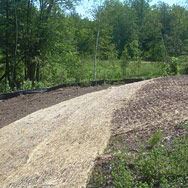 Environmental regulation compliance for public entities and private land owners.